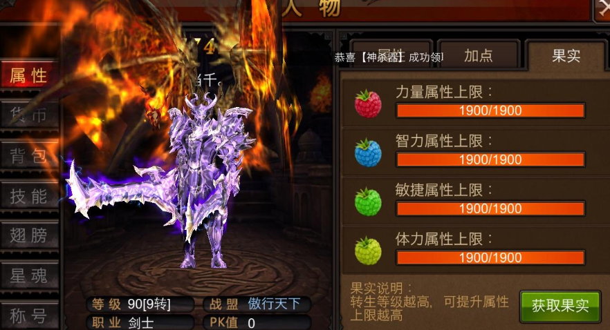 全民奇迹战士宠物技能是什么