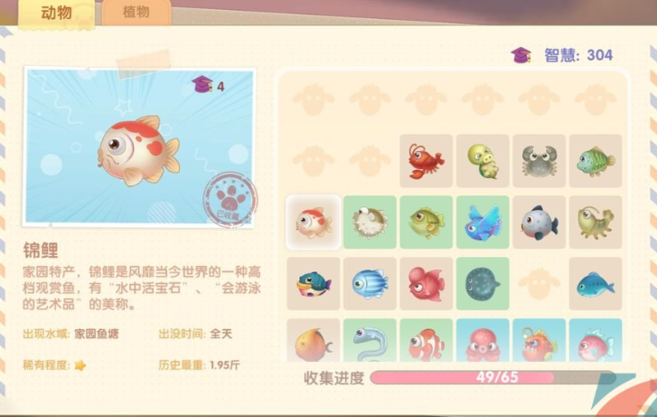 摩尔庄园锦鲤怎么做