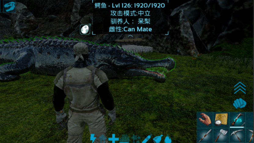 方舟生存进化怎么驯化宠物