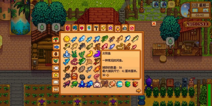 星露谷物语太阳鱼在哪里钓