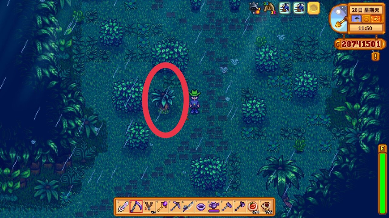 星露谷物语姜岛神庙怎么进