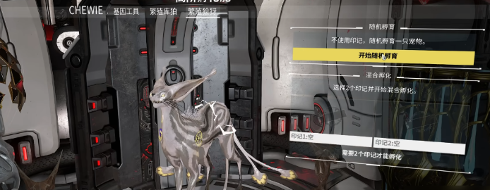 星际战甲好运猫怎么弄